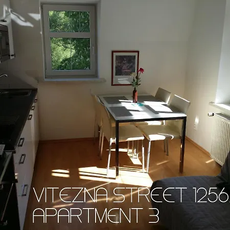 Vitezna 1256/36 Apart Otel